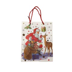 Punga cadou model de Craciun, 23 x 18 x 10