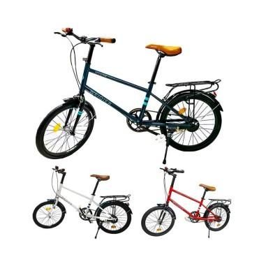 Bicicleta pentru copii, cu portbagaj, cadru metalic, 20" - Roben Toys produs de vanzare-poza- 1