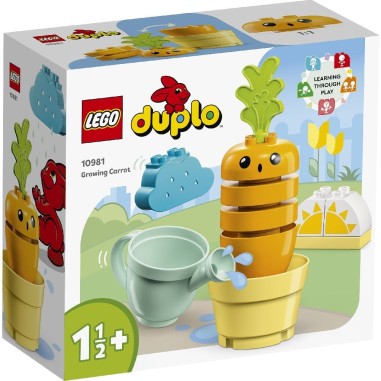 LEGO DUPLO MORCOV CARE CRESTE 10981