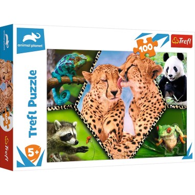 PUZZLE TREFL 100 NATURA FRUMOASA